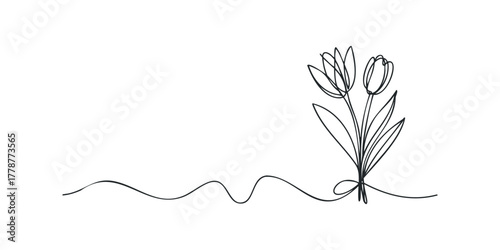 Line art of two tulips tied with string