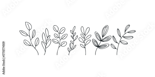 Minimalist Outline Botanical Branches Collection