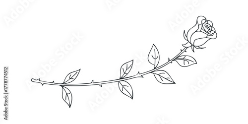Single line drawing of a rose on a branch with leaves