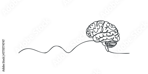Abstract Continuous Line Drawing of Human Brain with Flowing Line