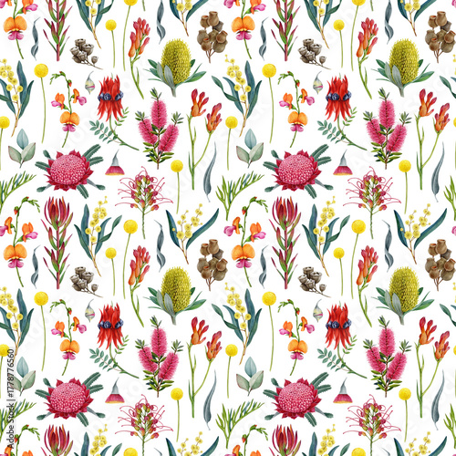 Australia native flowers seamless pattern on white background. Hand drawn realistic watercolor Australian flora elements. Waratah, golden wattle, grevillea, banksia, gum tree leaves seamless pattern