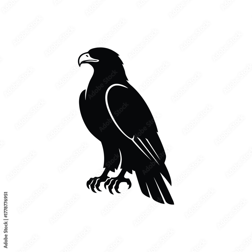 Fototapeta premium Black eagle silhouette