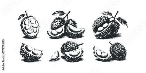 Durian Fruit Composition With Leaves And Slices