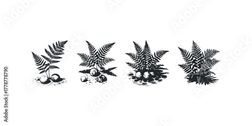Fern fronds and pebbles in stark silhouette style
