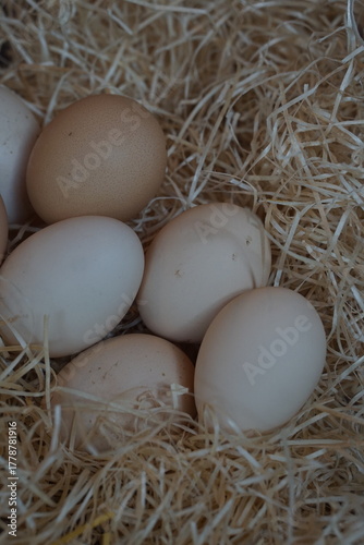 Close up of natural white and brown chicken eggs lying on straw in a rustic nest. Farm fresh organic eggs, healthy natural food concept, perfect for cooking, baking, or Easter decoration themes.