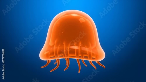 Jellyfish Gently Swimming in Underwater Marine Environment