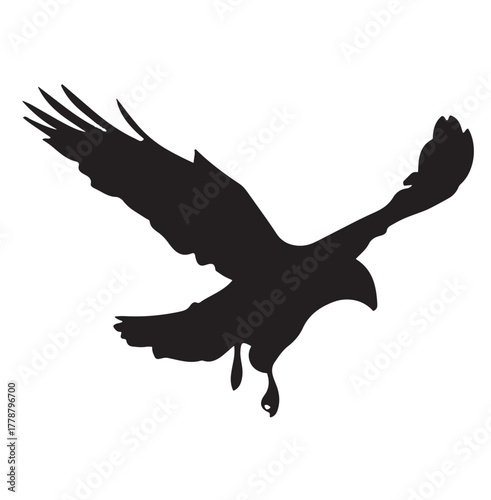 Eagle Silhouette, Isolated on White Background, Vector Illustration.