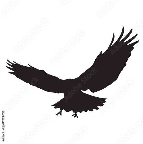 Eagle Silhouette Vector, Flying on White Background