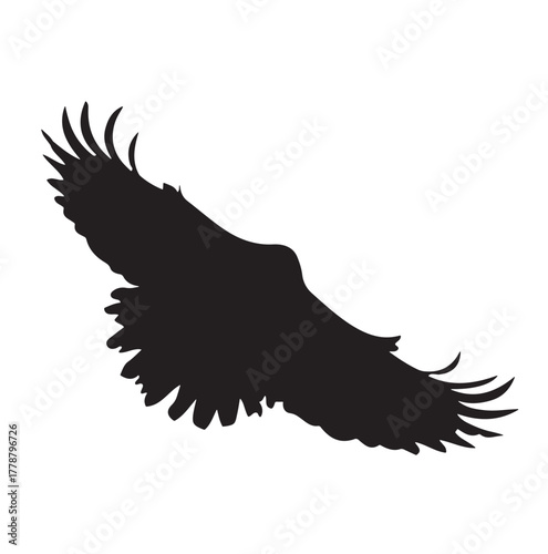 Eagle Silhouette Flying, Vector Illustration Isolated on White Background