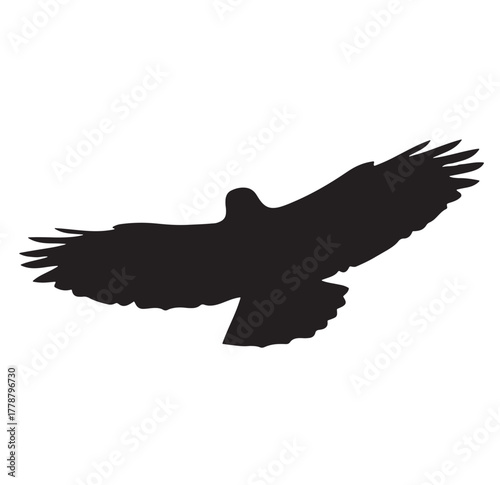 Eagle Silhouette Vector, Isolated on White Background.