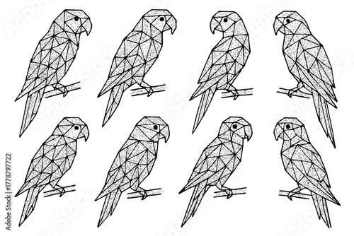 Set of eight parrots in geometric triangles