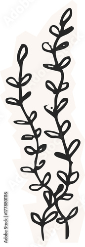 Minimalist Plant Illustration Cutout Paper. Wild forest herbs and flowers vintage textured chalk drawing sketch