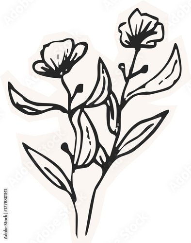 Minimalist Plant Illustration Cutout Paper. Wild forest herbs and flowers vintage textured chalk drawing sketch