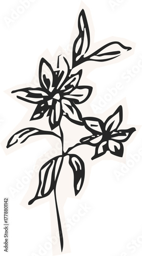 Minimalist Plant Illustration Cutout Paper. Wild forest herbs and flowers vintage textured chalk drawing sketch