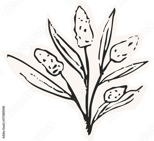 Minimalist Plant Illustration Cutout Paper. Wild forest herbs and flowers vintage textured chalk drawing sketch