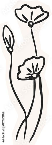 Minimalist Plant Illustration Cutout Paper. Wild forest herbs and flowers vintage textured chalk drawing sketch