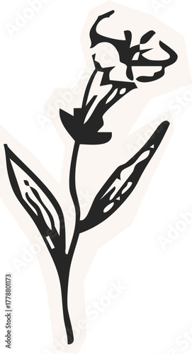 Minimalist Plant Illustration Cutout Paper. Wild forest herbs and flowers vintage textured chalk drawing sketch