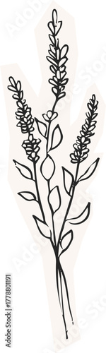 Minimalist Plant Illustration Cutout Paper. Wild forest herbs and flowers vintage textured chalk drawing sketch