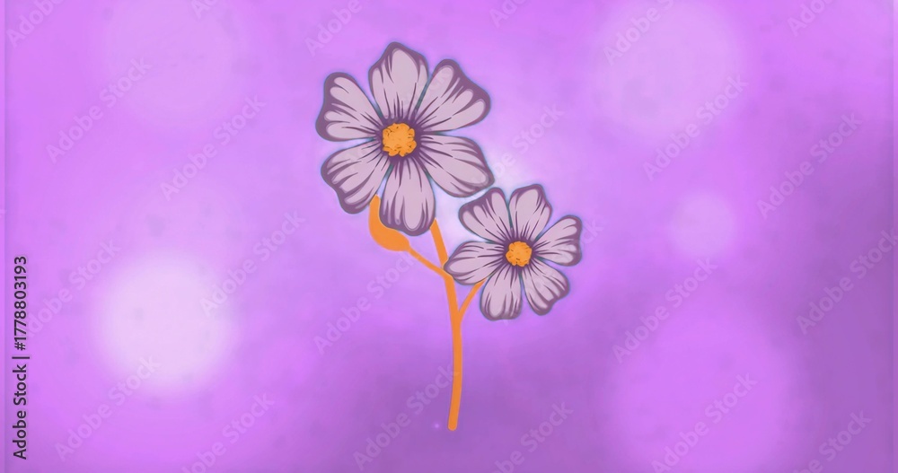 Naklejka premium Showing two pale lavender daisy flowers floating against violet-magenta gradient with bokeh spots