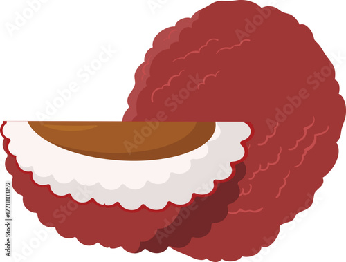 Fresh Lychee Fruit Vector Illustration. Whole and Halved Tropical Lychee with Seed on White Background.