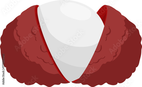 Peeled Lychee Fruit Illustration. Sweet Tropical Berry with Red Skin and Juicy White Flesh. Fresh Exotic Food Vector Graphic