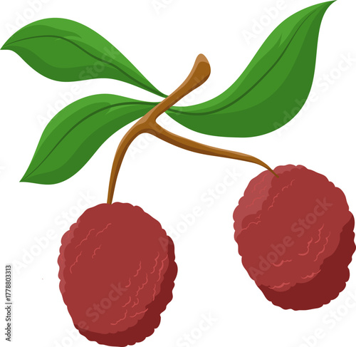 Sweet Tropical Lychee Fruits on Branch with Green Leaves Cartoon Vector