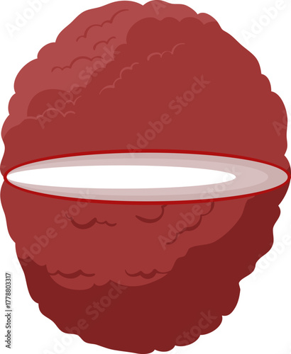 Fresh Lychee Fruit Cut in Half, Revealing White Flesh. Cartoon Vector Illustration.