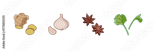 台湾料理によく使うスパイスとハーブのベクターセット 生姜、ニンニク、八角、パクチーの食材イラスト
