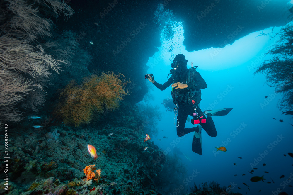 custom made wallpaper toronto digitallocal dive master exploring reef in the Maldives