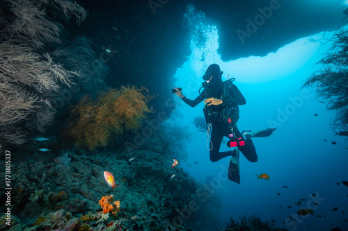 Wallpaper Mural local dive master exploring reef in the Maldives Torontodigital.ca