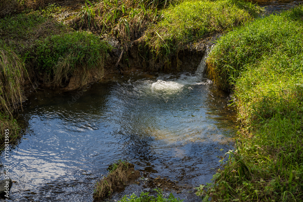 Obraz premium Clear Stream Water Flowing Between Green Grass Banks