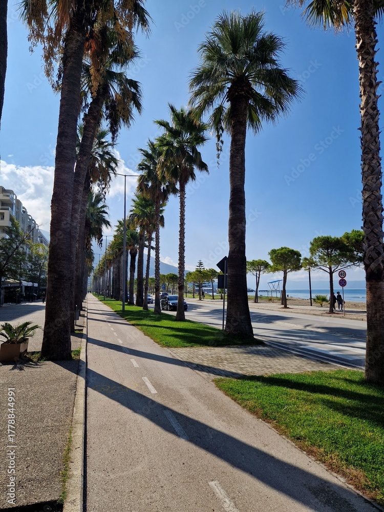 Obraz premium Palm trees on the Albanian coast 🌴 