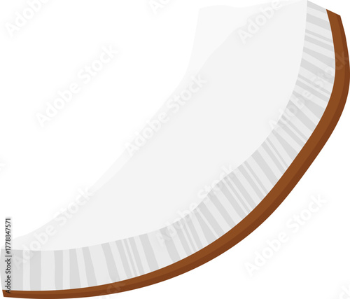 Fresh Coconut Slice Illustration on White Background - Tropical Fruit Segment Vector Graphic