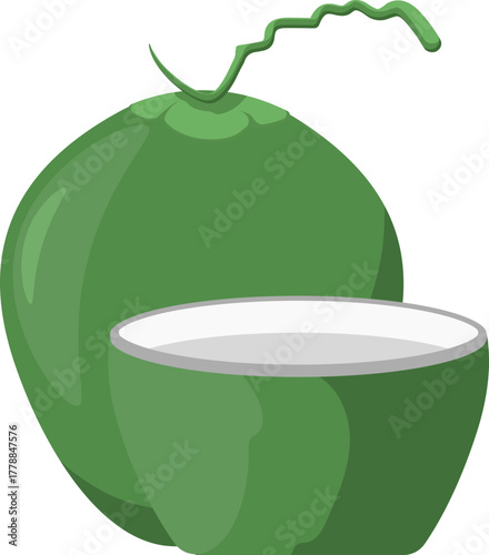 Fresh green coconut and coconut water vector illustration for tropical beverages and healthy food concepts