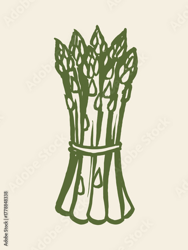 Asparagus bunch, hand-drawn sketch vector illustration