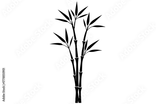 Lucky bamboo silhouette vector illustration isolated on white background