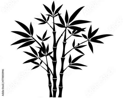 Lucky bamboo silhouette vector illustration isolated on white background