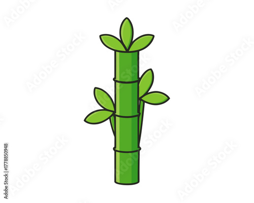 Lucky bamboo vector illustration isolated on white background