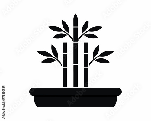 Lucky bamboo icon silhouette vector illustration isolated on white background