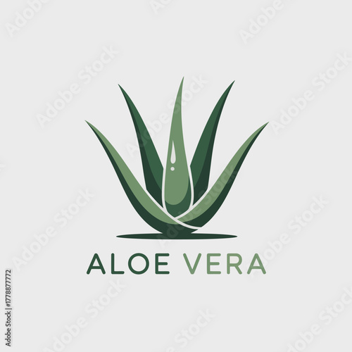 A distinctive logo featuring an aloe vera plant with a droplet, promoting natural products with an emphasis on health and well-being in a visually appealing manner.