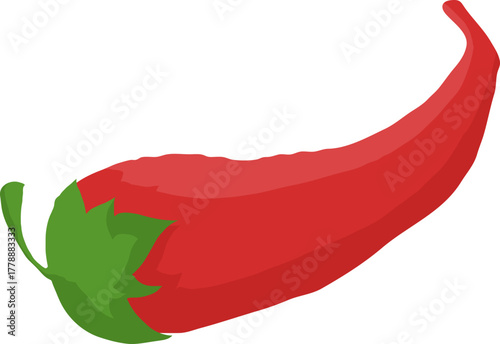 Spicy Red Chili Pepper Vector Illustration Isolated on White Background