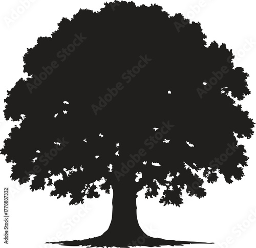A Silhouette of a Large Majestic Oak Tree in Full Leaf Against a White Background	