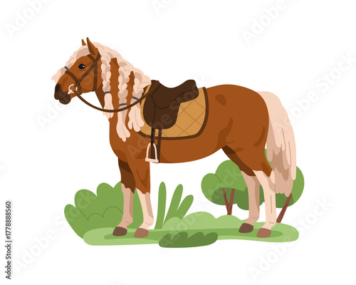 Haflinger pony with braided mane, saddle and harness, standing in profile. Horse, equine animal, bridled foal in country nature, countryside. Flat vector illustration isolated on white background