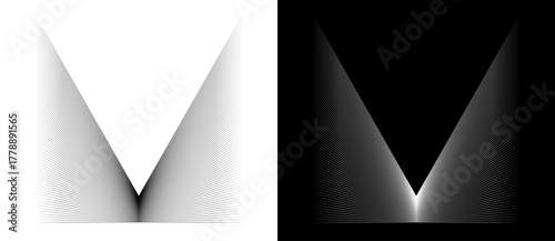 Abstract background with lines. Art mass gravity concept. A black figure on a white background and an equally white figure on the black side.
