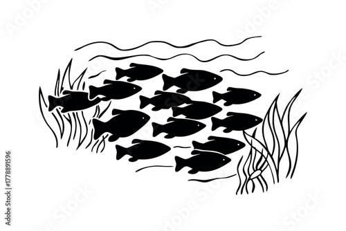 School of black fish swimming among aquatic plants