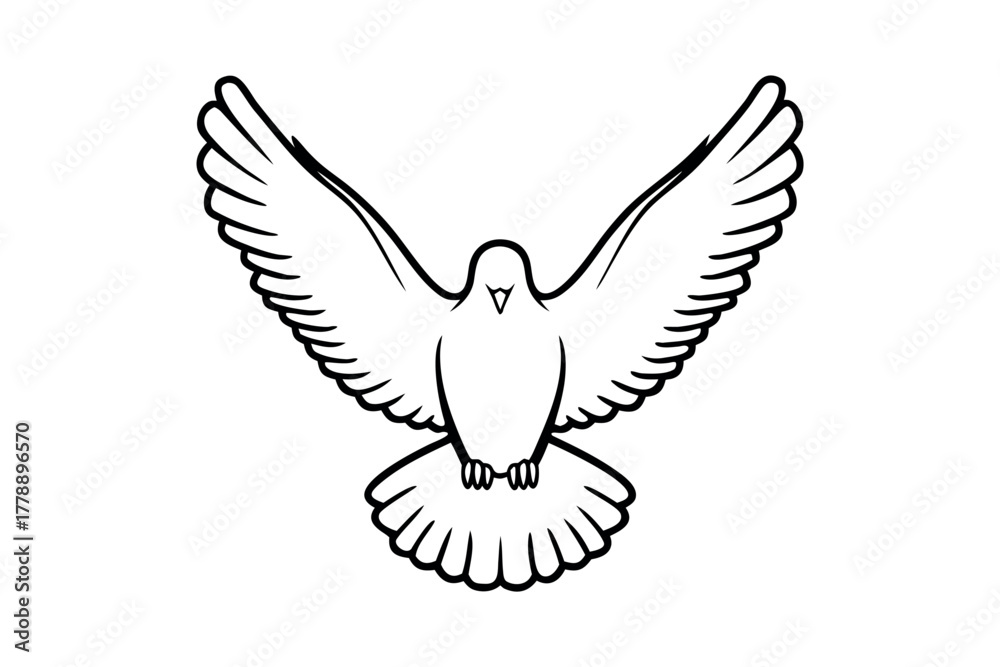 Fototapeta premium Dove bird flying forward with wings spread