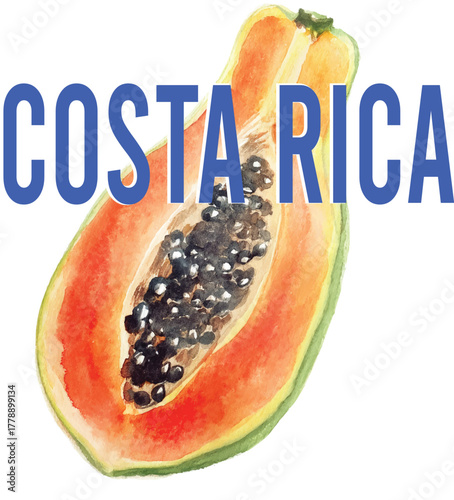 Tropical papaya fruit juicy citrus trending fruity cute Costa Rica tropical vacation summer  t-shirt design Slogan Logo Graphic Vector Tee shirt fruit apparel print style vector fruits fashion mango