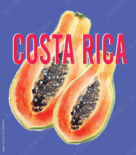 Tropical papaya fruit juicy citrus trending fruity cute Costa Rica tropical vacation summer  t-shirt design Slogan Logo Graphic Vector Tee shirt fruit apparel print style vector fruits fashion mango