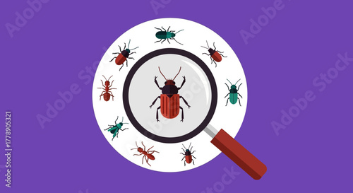 Infestation illustration, vector image showing various insects with a magnifying glass, colorful