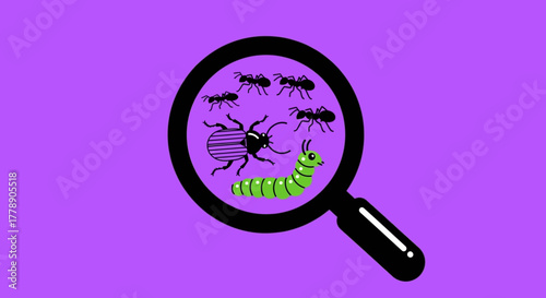Illustration of insects under a magnifying glass on purple background showcasing biodiversity